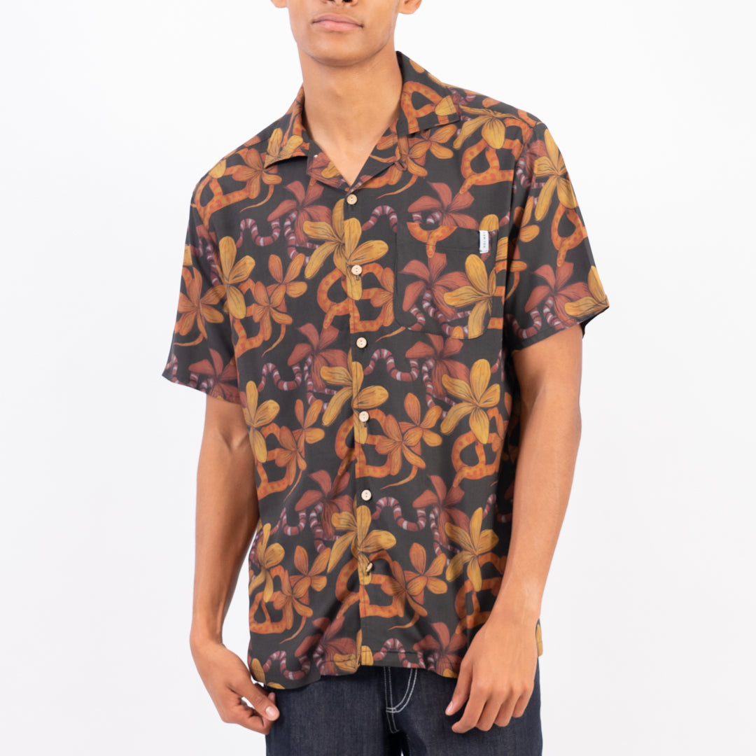 Holmes Brothers - Snake Shirt
